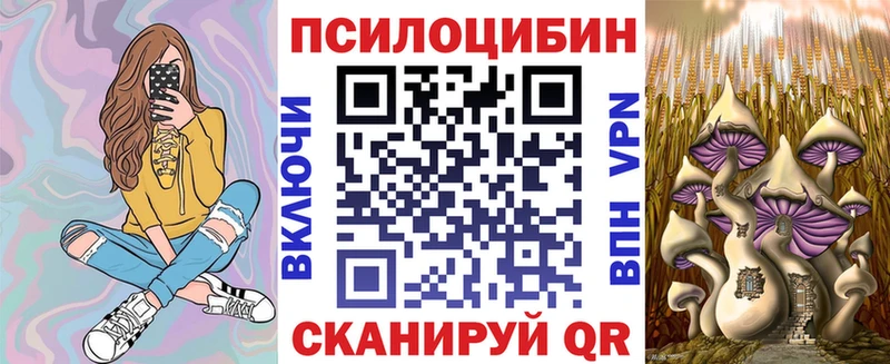 Галлюциногенные грибы Psilocybe  где купить наркотик  Старый Крым 